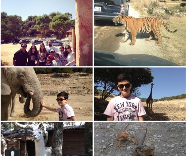 Keçmiş “KVN”çilər safaridə  (Foto)