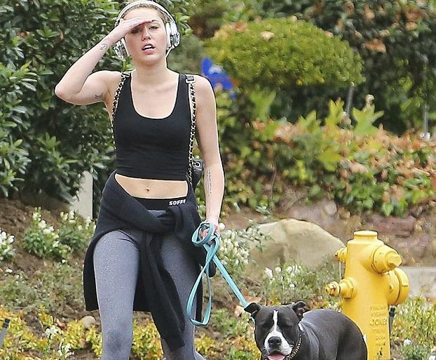 Mayli Sayrus paparatsilərin hədəfində