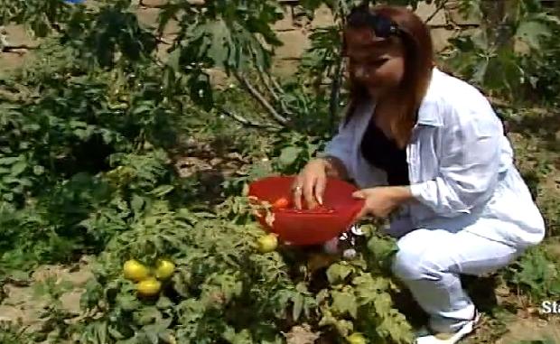 Bu da Mənzurənin bağ evi –  fotolar 