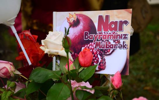 Göyçayda Nar Bayramı keçirildi -  fotolar
