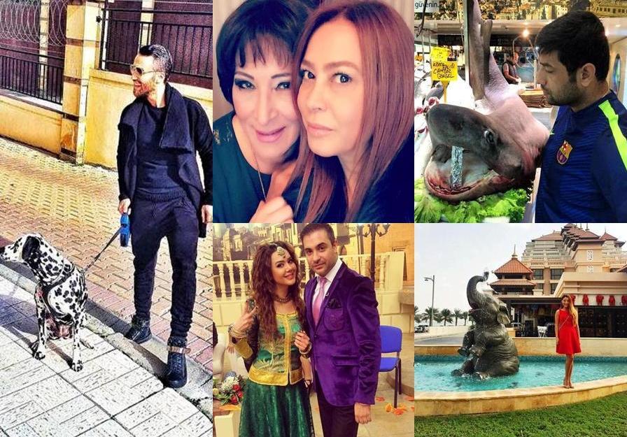 İnstaqramda nələr baş verir?