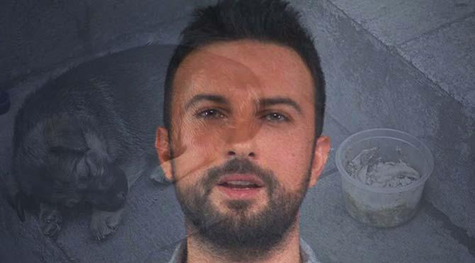 Tarkan küçə heyvanlarına dəstək oldu - video