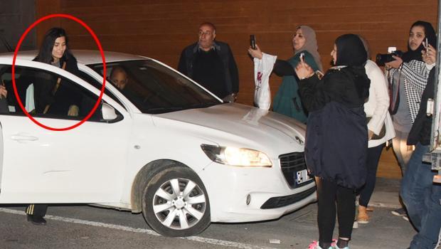 Ərəb fanatlarından Tubaya böyük maraq -  fotolar