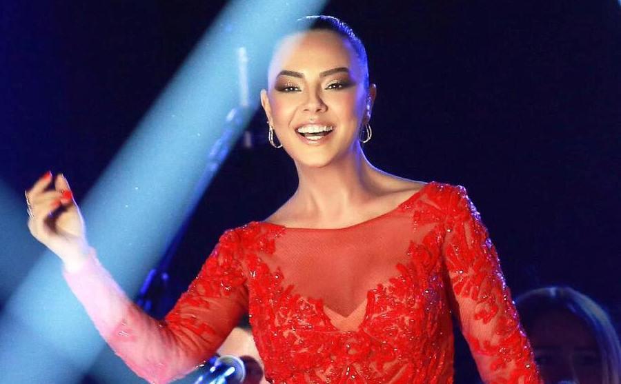 Ebru “Hörümçək toru” əməliyyatından danışdı 