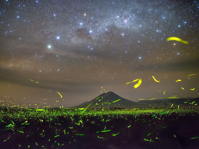 İyulda “National Geographic”in ən yaxşı fotoları