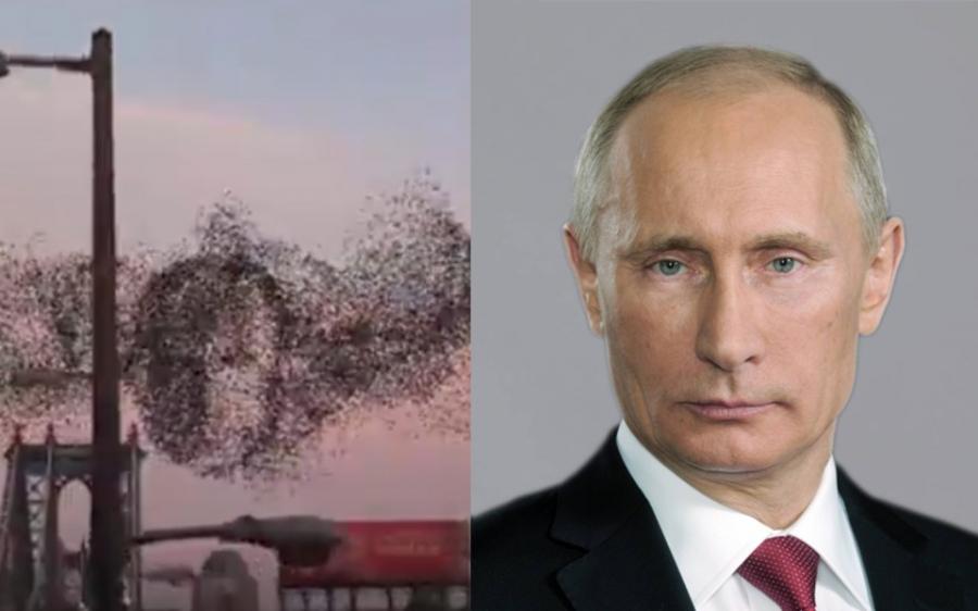 Quşlar səmada Putinin portretini yaratdı - video 