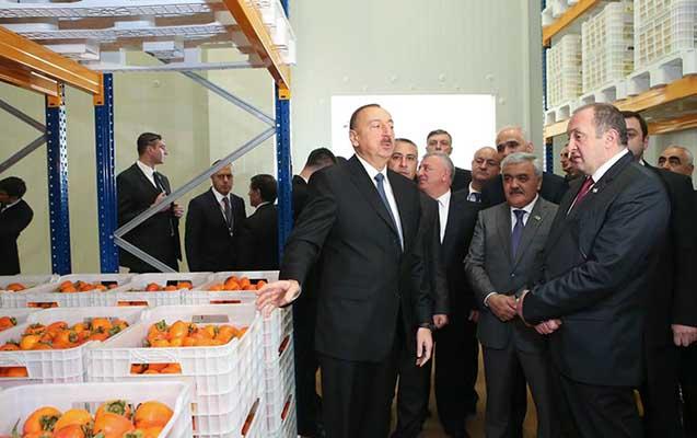 Prezidentlər "Çay evi"ndə -  fotolar
