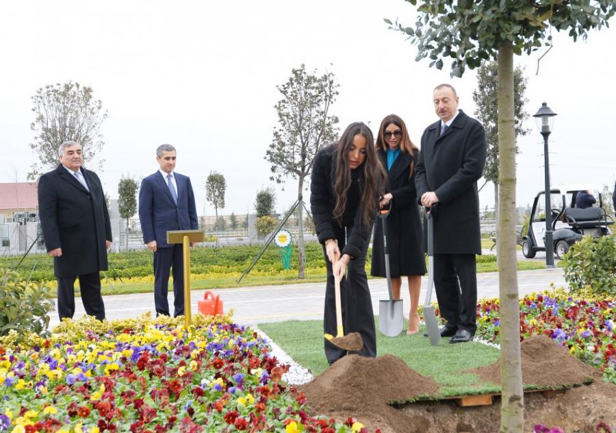 Prezident və ailəsi ağac əkdi - fotolar