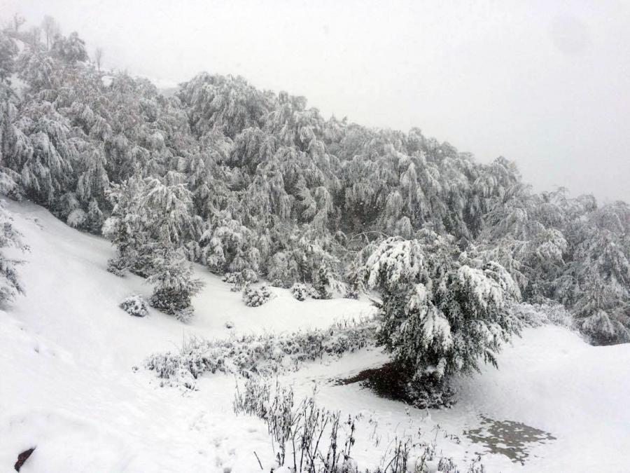 Qarlı Lerikdən  fotolar