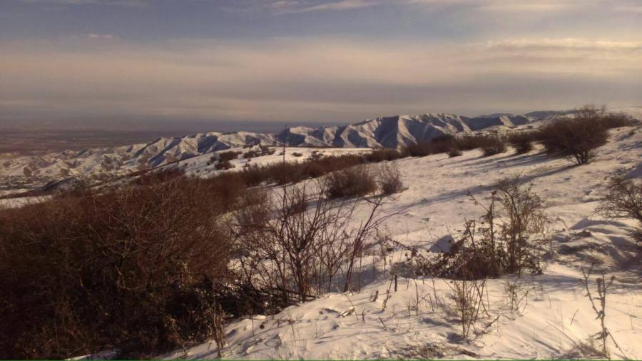 Şəmkirin qarlı dağları -  fotolar