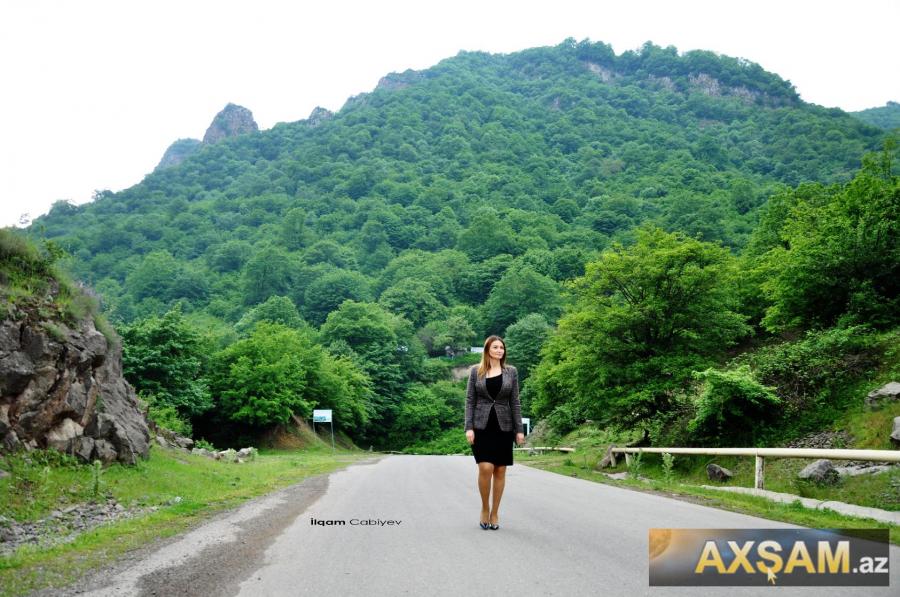 Millət vəkilinin Tovuz gəzintisi -  fotolar