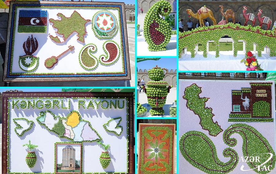 Naxçıvanda alça festivalı keçirildi -  fotolar