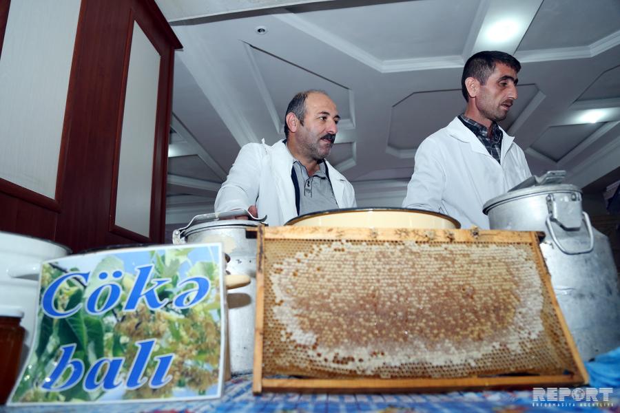 Bakıda bal yarmarkası keçirilir 