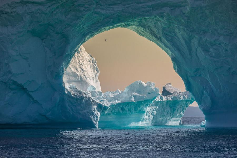 "National Geographic"ə təqdim olunmuş ən yaxşı fotolar 
