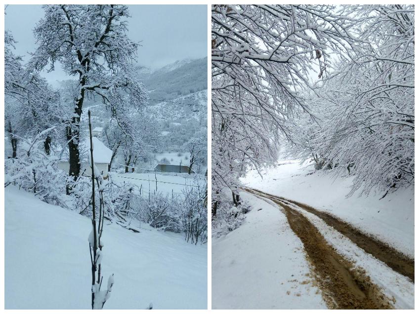 Lerikin kəndlərinə 15 santimetr qar yağdı - fotolar 