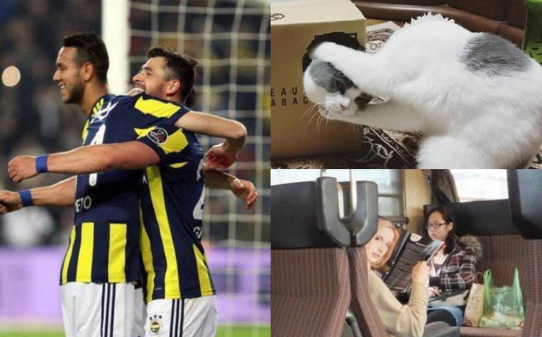 Bu şəkillərə 2 dəfə baxın 