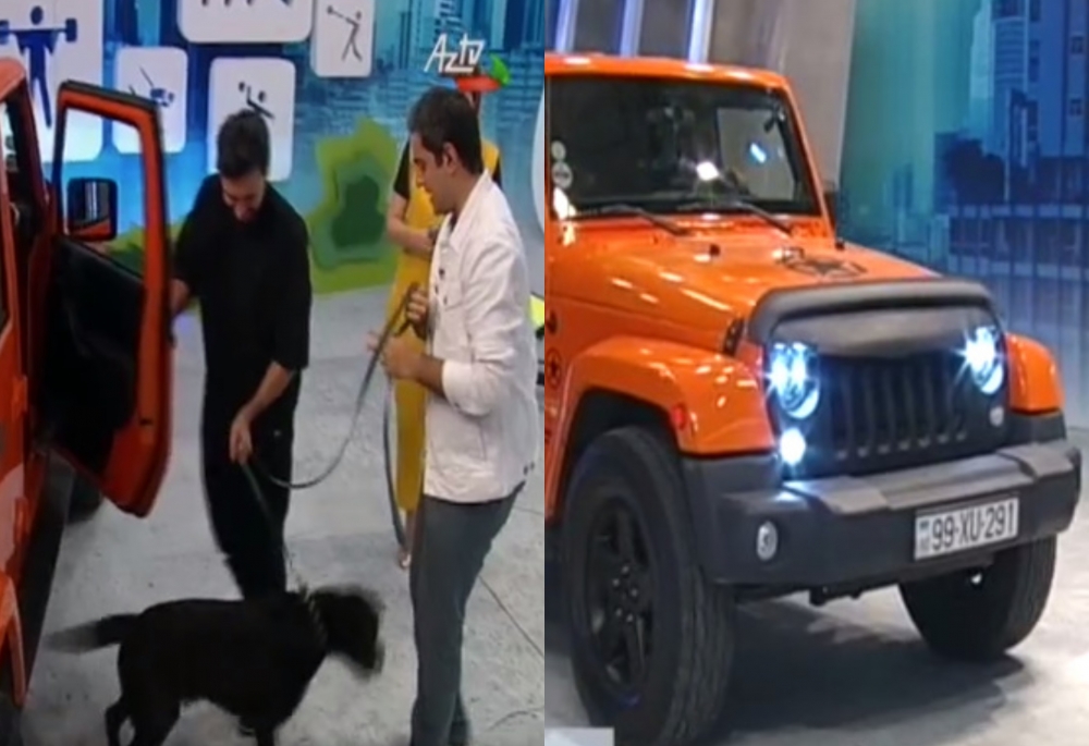 Çingiz AzTV-nin studiyasına avtomobili və iti ilə girdi - Video