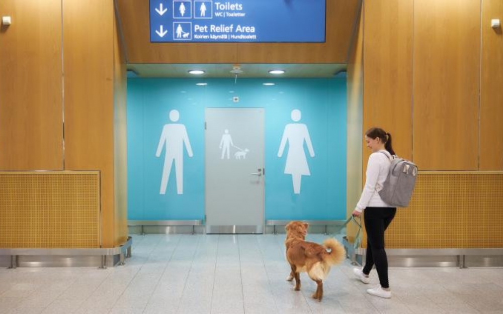İtlər üçün hava limanında tualet istifadəyə verilib -  Fotolar