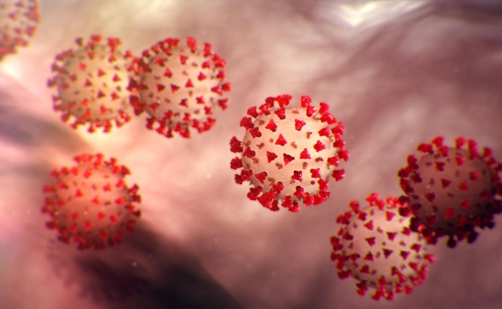 Alimlərdən koronavirusla bağlı yeni araşdırma