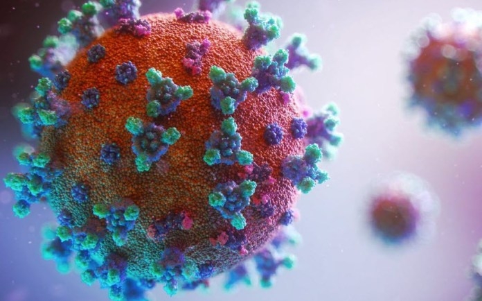 İsraildə də yeni növ koronavirus aşkarlandı