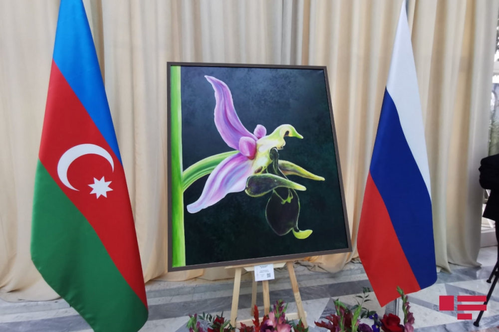 Moskvada Zəfər Günü və Bayrağ Gününə həsr olunan sərgi - Fotolar
