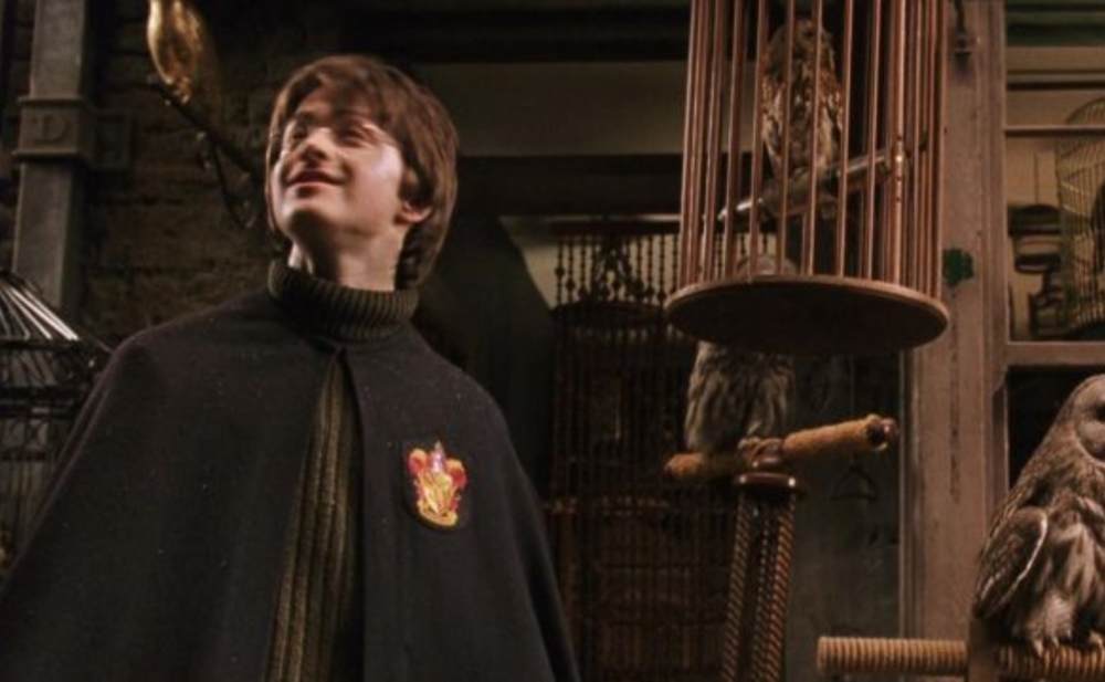 "Harri Potter"in bu geyim və əşyaları 172 minə satıldı