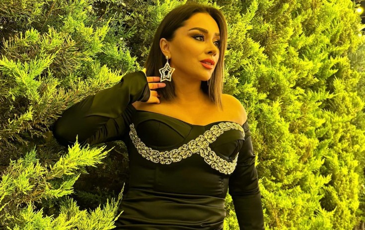 "Söz tapa bilmirəm yazım"