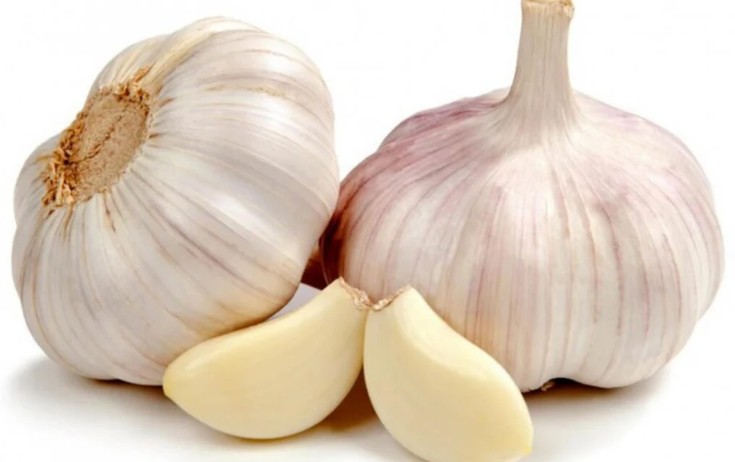 Sarımsağın həm də ziyanı var