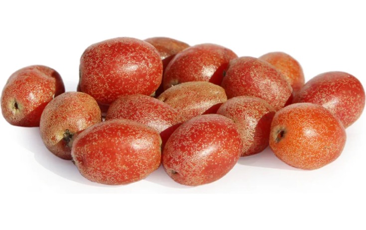Bir çox vitamın iydənin tərkibindədir