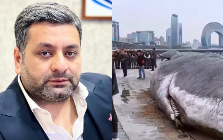 Elcan həmin jurnalisti ələ saldı - Video
