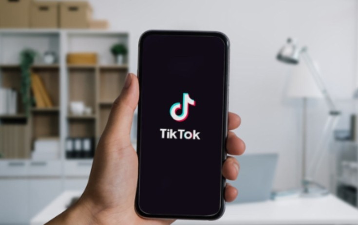 TikTok-a yeniyetmələr üçün qadağa gəlir