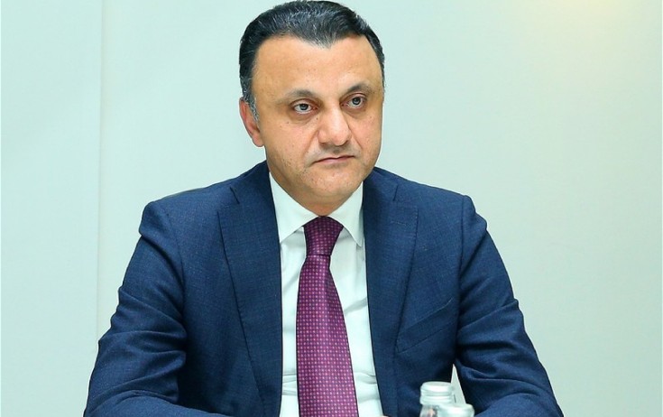 TƏBİB sədri diplomsuz plastik cərrahlardan danışdı
