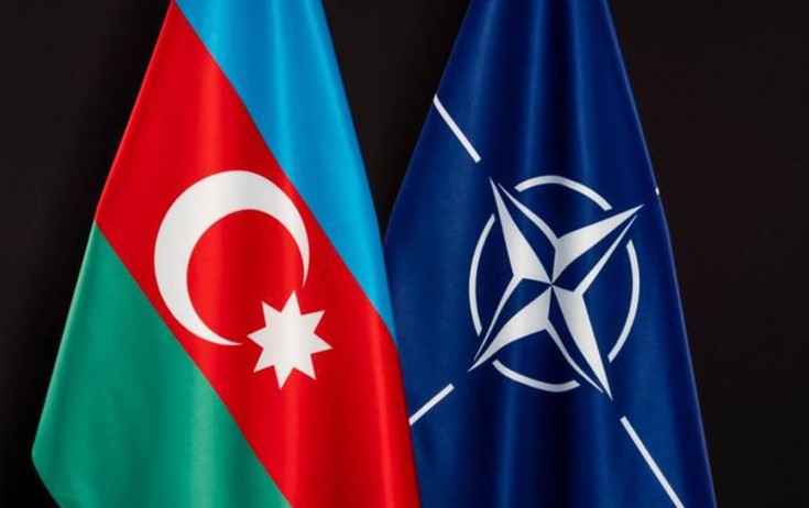 NATO təyyarə qəzasını hərtərəfli araşdırmağa çağırıb