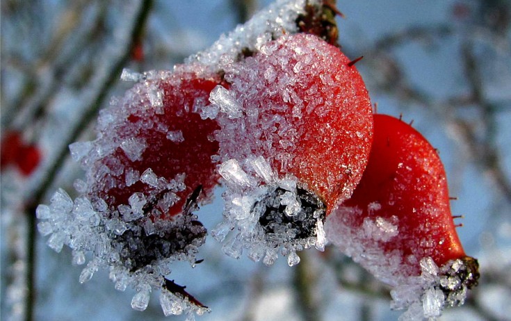 Hava ilə bağlı növbəti - Xəbərdarlıq