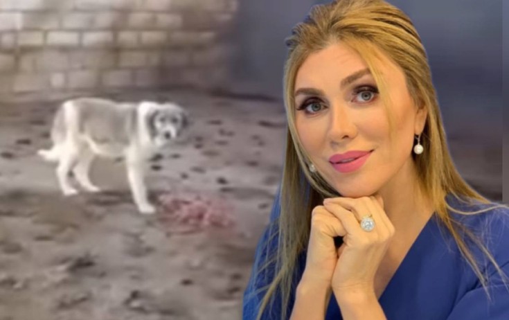 "Görəsən, rayon rəhbərliyinin bundan xəbəri var?"