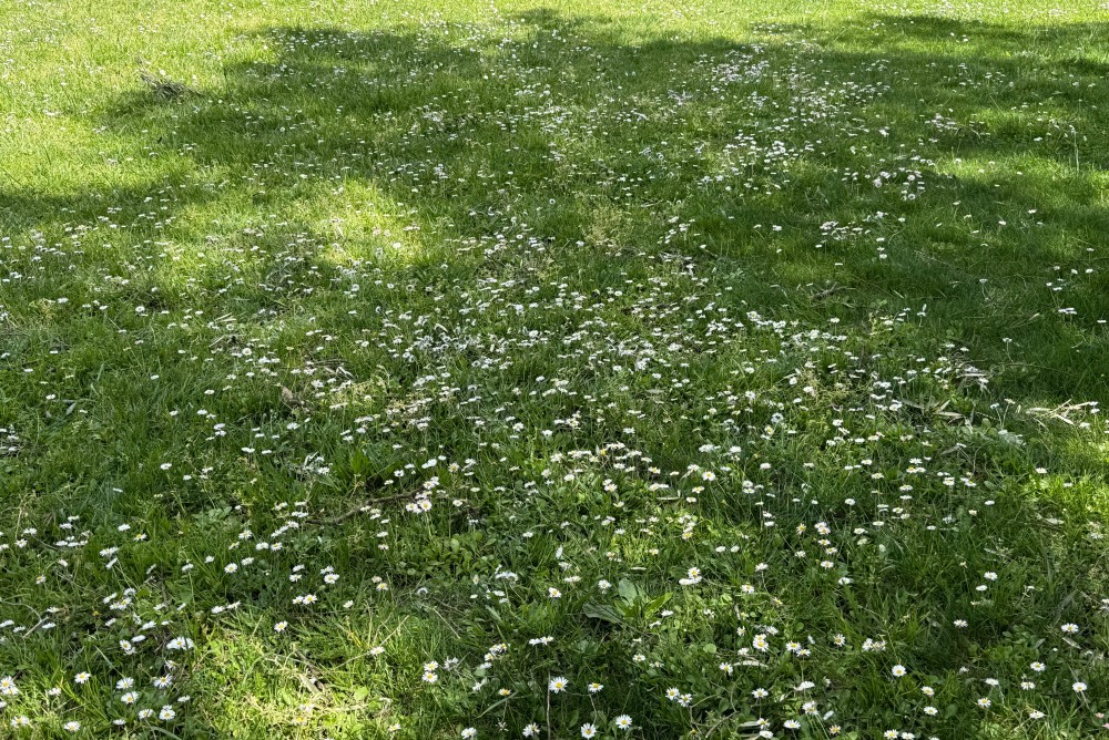 Sabahın havası açıqlandı