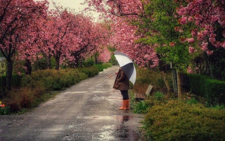 Sabah yağış yağacaq