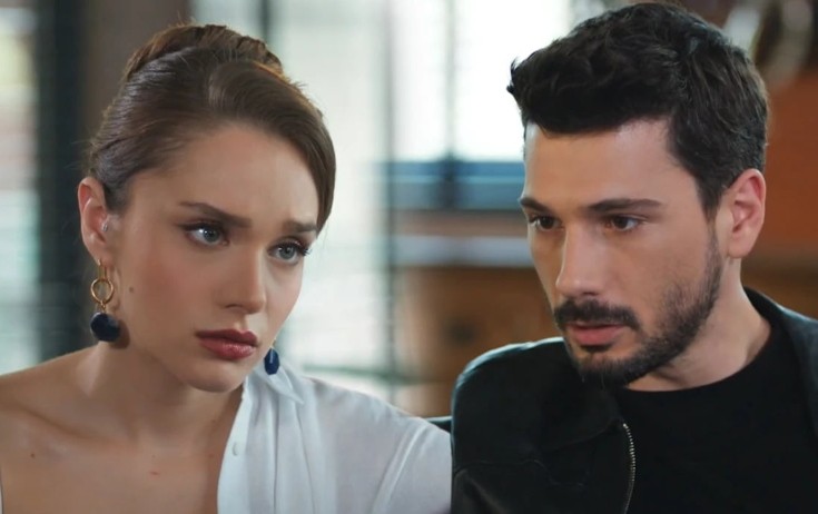 "Hudutsuz sevda" yayımdan qaldırıldı