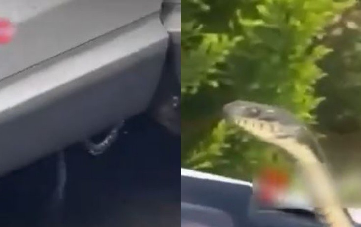 Bakıda ilanlar peyda olub - Video