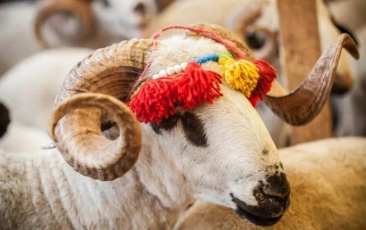Azərbaycanda Qurban bayramıdır