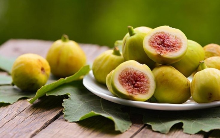 Mədənin dostu, virusun düşməni