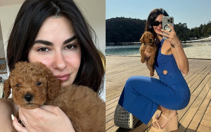 Nəsrindən ünvanına yazılan tənqidlərə cavab - Foto