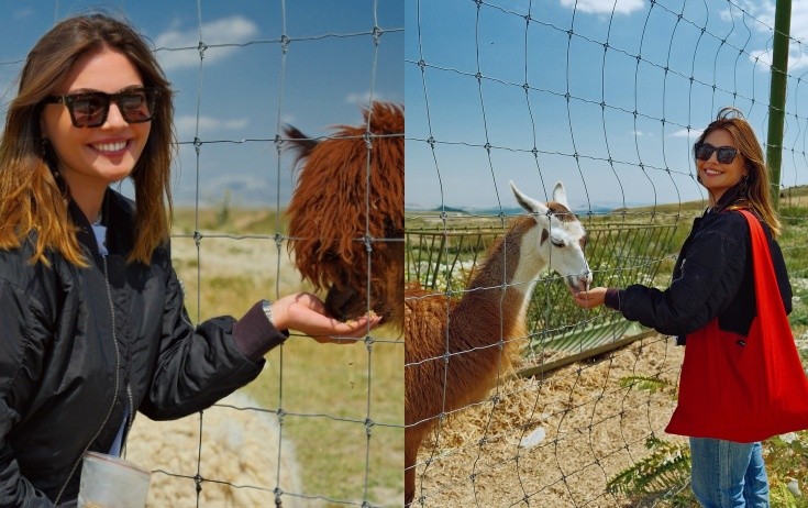 Suada Bakıdan sonra Şamaxıya getdi - Fotolar