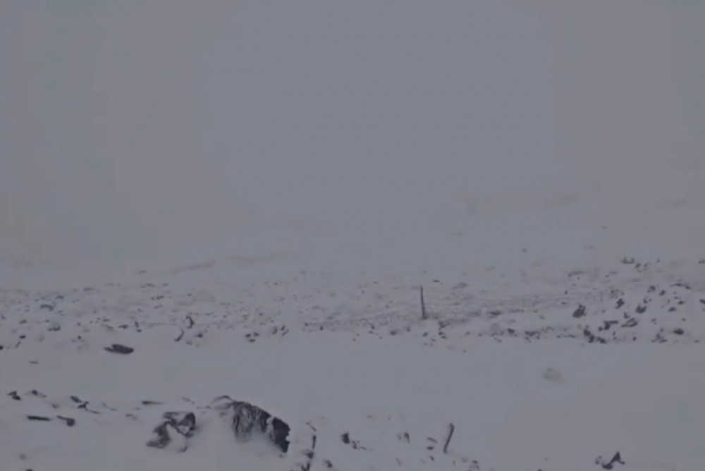 Ordubada 19 sm qar yağıb - Video