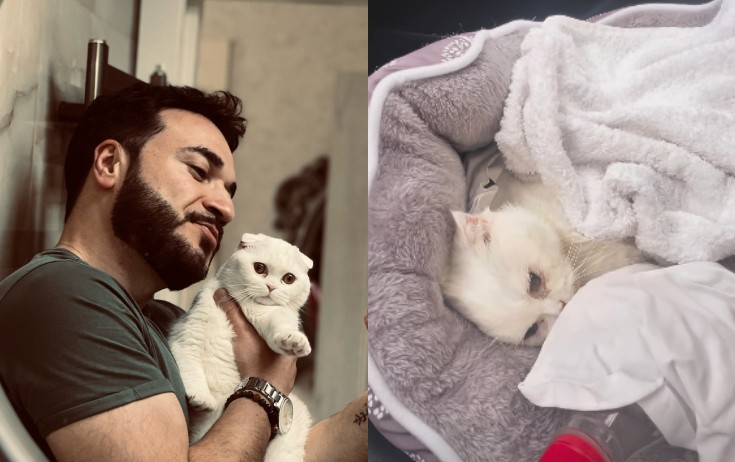 "Həkim məsuliyyətsizliyinə görə pişiyim öldü"