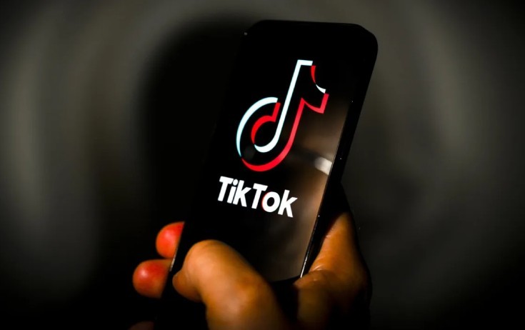 TikTok-da qeyri-etik ifadələr işlədən şəxs həbs olundu