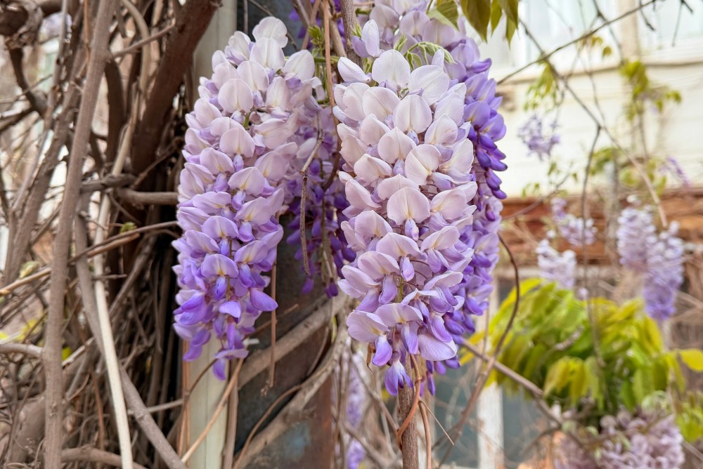 Sabah 28 dərəcə isti olacaq