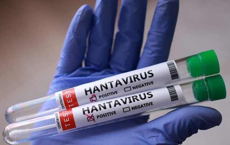 Hantavirus insandan insana nadir halda keçir - Rəsmi