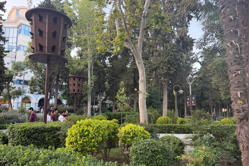 Sabahın havası açıqlandı
